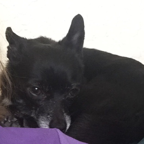 Meet Your Posher, Cindy - Picture 6 of 6